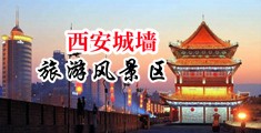 插进去女人逼逼视频中国陕西-西安城墙旅游风景区